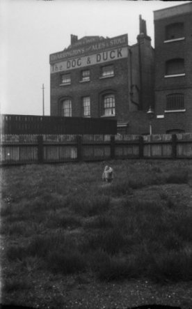 The Dog and Duck in 1931